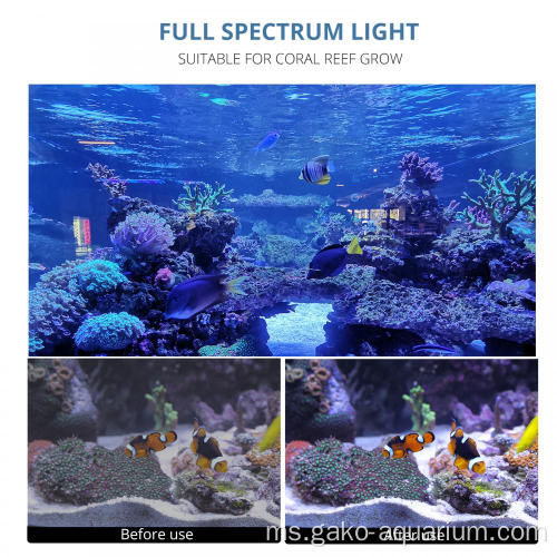 Pencahayaan akuarium terumbu karang tinggi untuk air masin